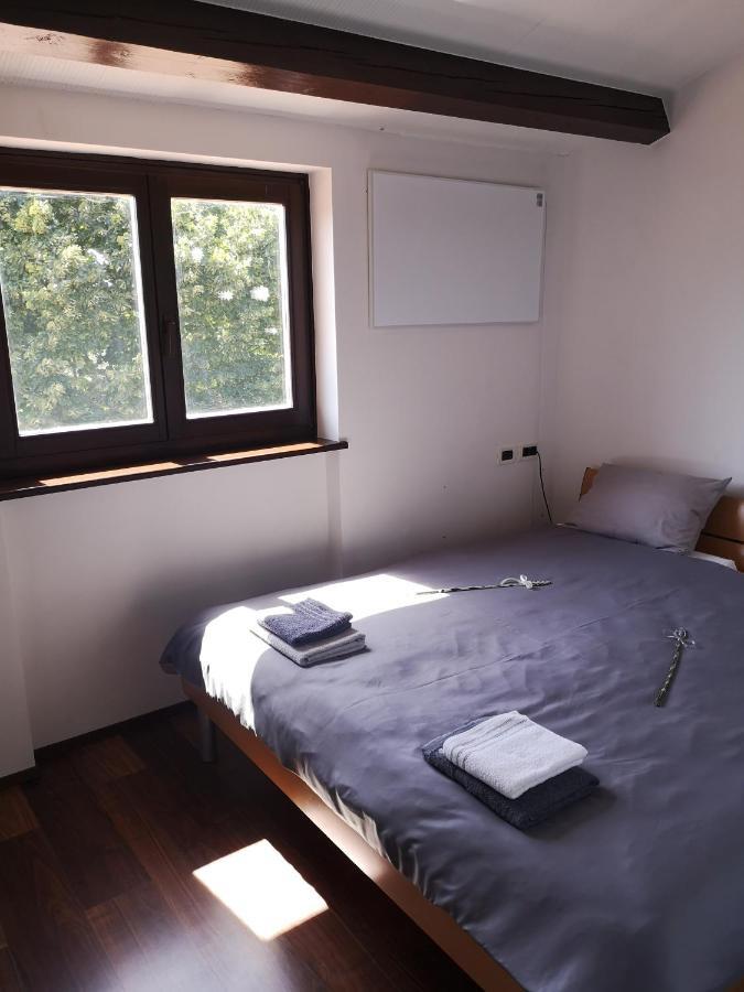 Apartma Rok Plavje 外观 照片